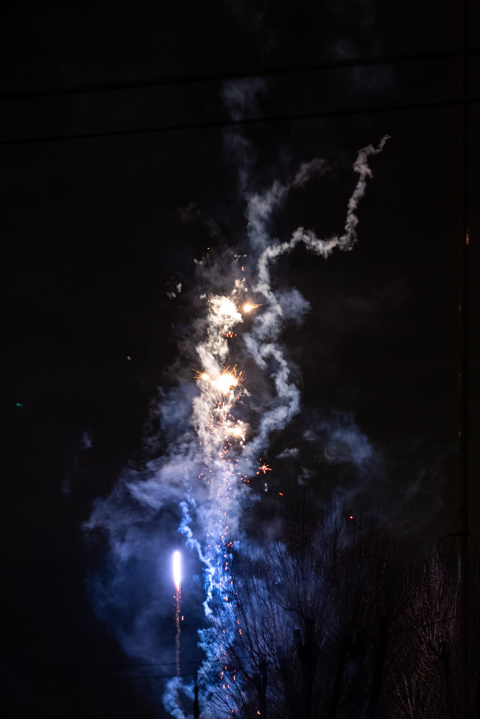 A blue firework exploding against the outline of a tree, trailing blue smoke.