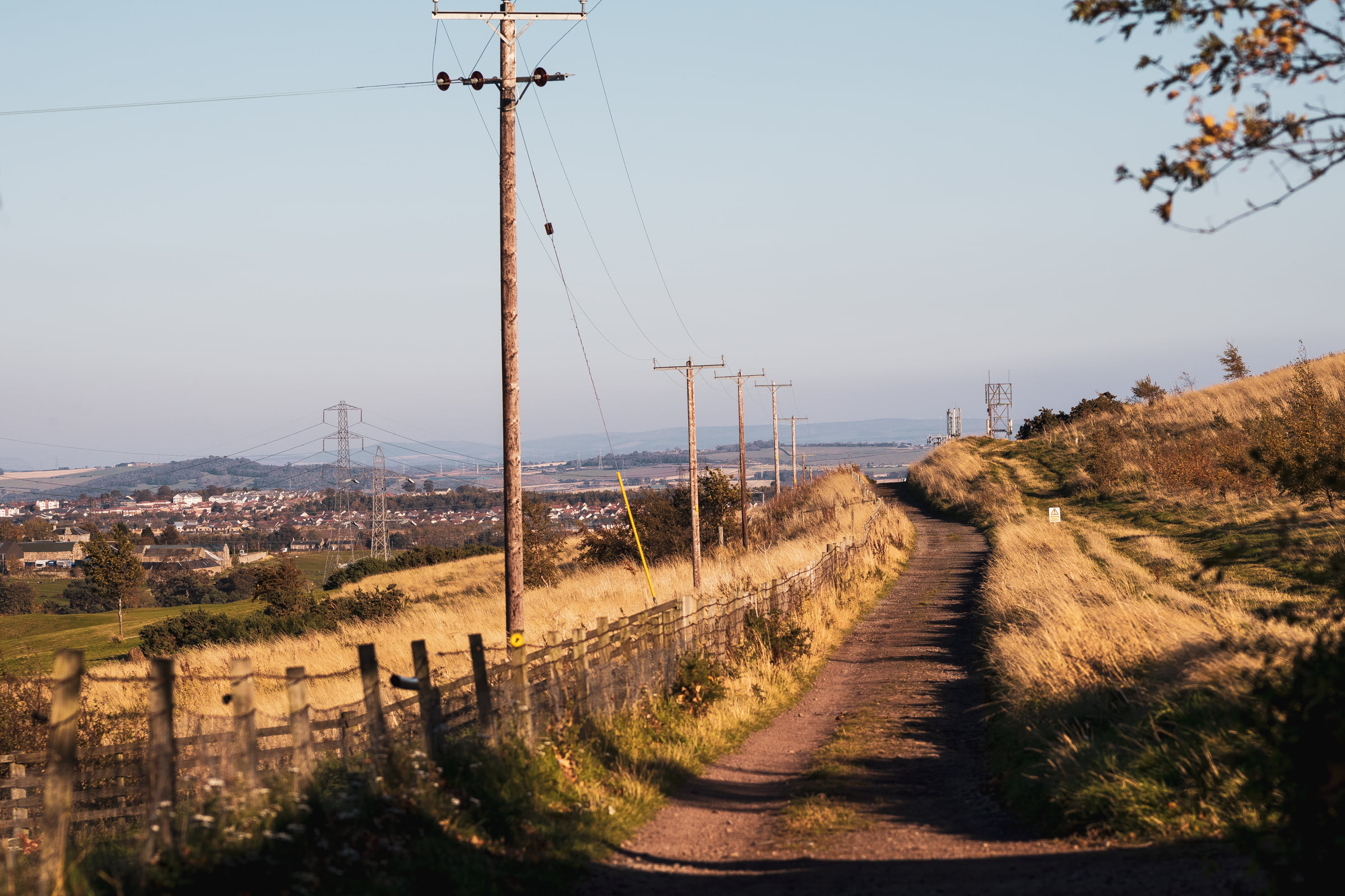 A sunny path across a hill flanked by power poles.