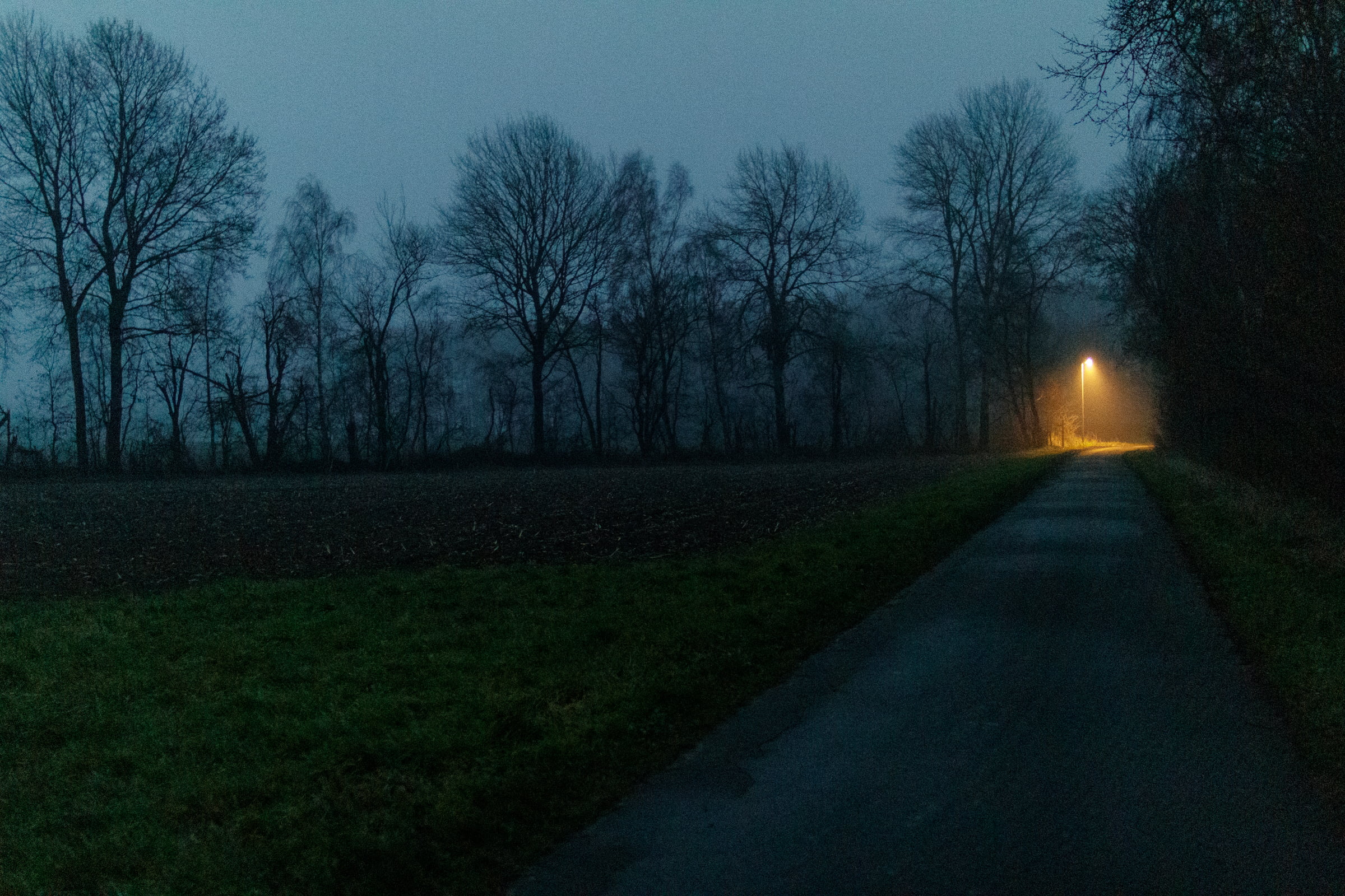 A path next to a dark field leading towards a bright yellow streetlight at dusk.