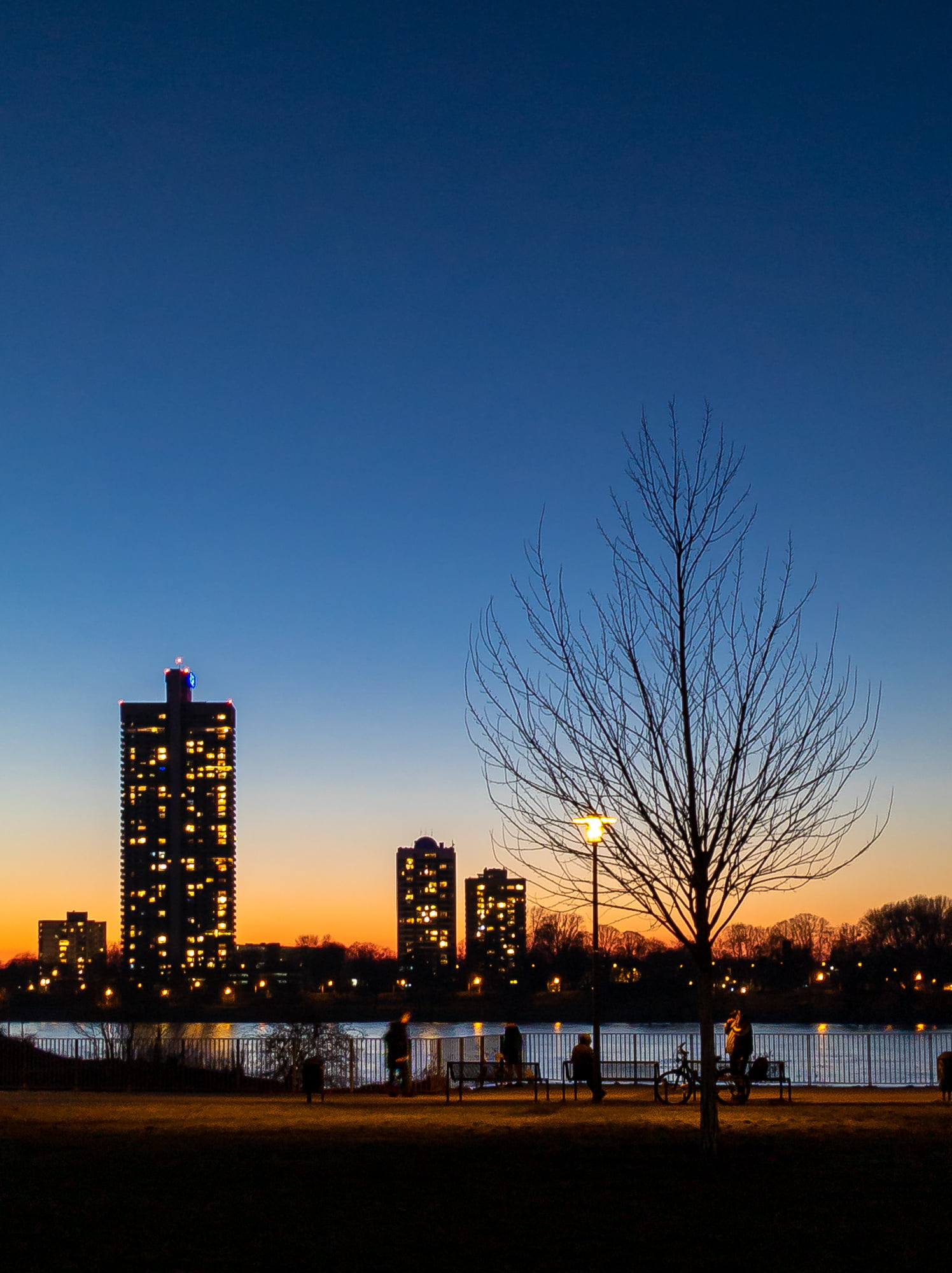 A river bank with some black skyscraper silhouettes on the far side set against a sunset.
